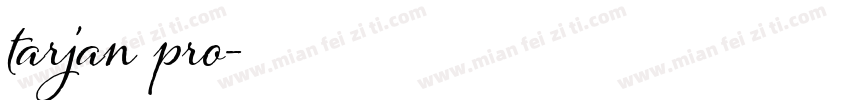 tarjan pro字体转换